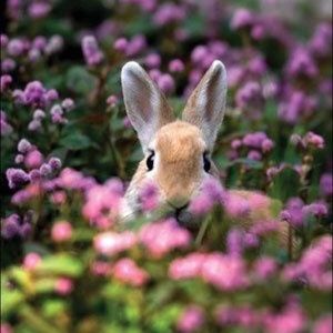 Meet your Posher, Marlene